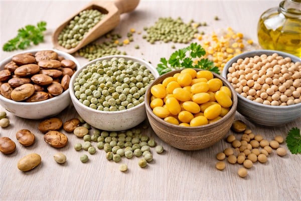 Pflanzliche Eiweißquellen und Darmgesundheit – Ackerbohne, Erbse, Lupine und Soja