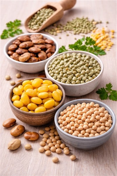 Ackerbohne, Körnererbse, Süßlupine und Sojabohne – pflanzliche Eiweißquellen und ihre Bedeutung für die Darmgesundheit