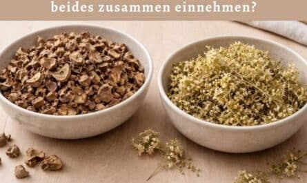 Teufelskralle und Mädesüß – kann man beides zusammen einnehmen?