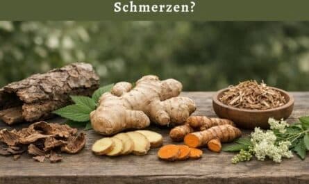 Natürliche Schmerzmittel – sanfte Hilfe bei Schmerzen?