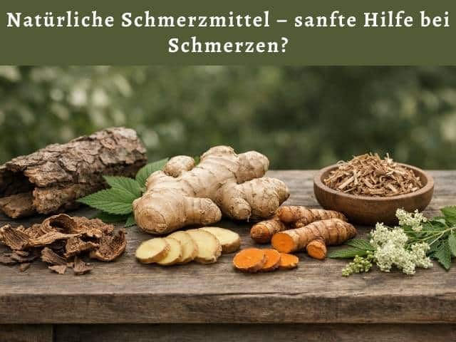 Natürliche Schmerzmittel – sanfte Hilfe bei Schmerzen?